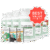 ProDentim 2026: Powerful Oral Probiotic for Strong Teeth & Fresh Breath
